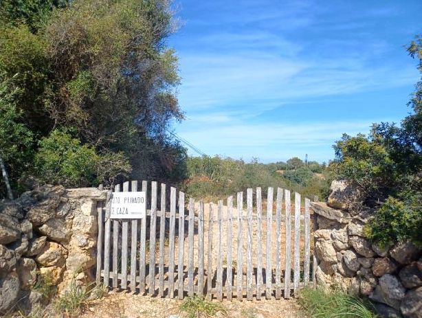 Venta de Casas en Manacor