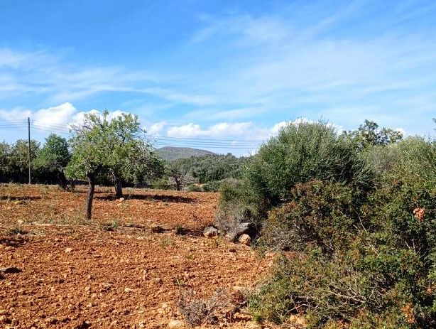 Venta de Casas en Manacor