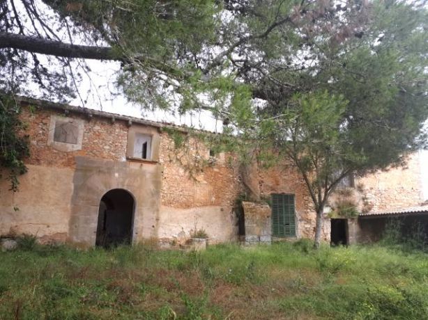 Venta de Rústica en Felanitx