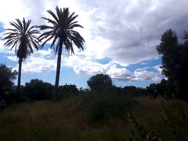 Venta de Solares en Porto Colom