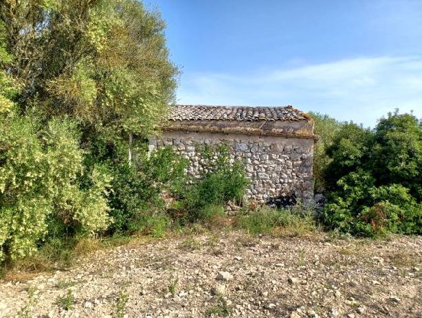 Venta de Rústica en Manacor