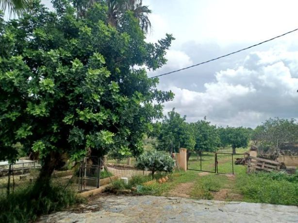 Venta de Rústica en Felanitx