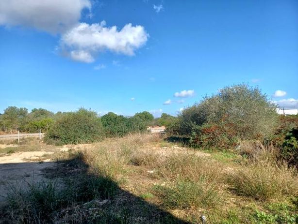 Venta de Solares en Porto Colom