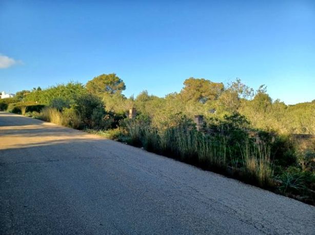Venta de Solares en Cala Murada