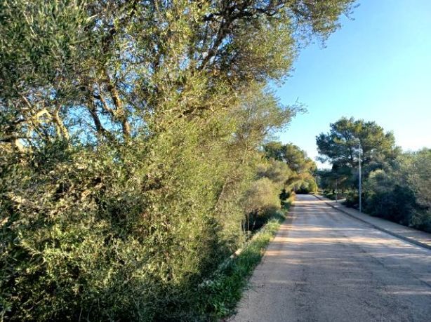 Venta de Solares en Cala Murada