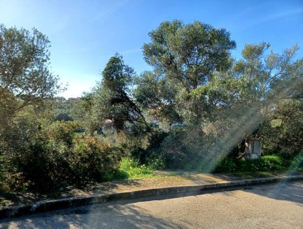 Venta de Solares en Porto Colom