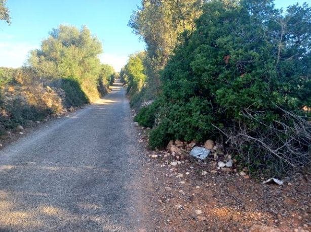 Venta de Rústica en Felanitx