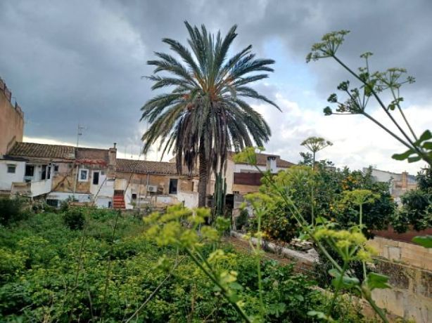 Venta de Solares en Felanitx