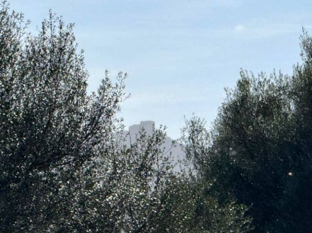 Venta de Rústica en Felanitx