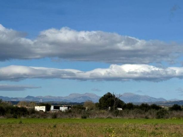 Venta de Rústica en Felanitx