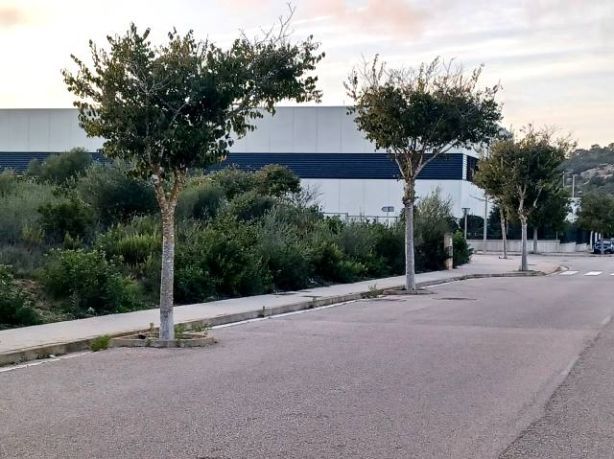 Venta de Solares en Felanitx