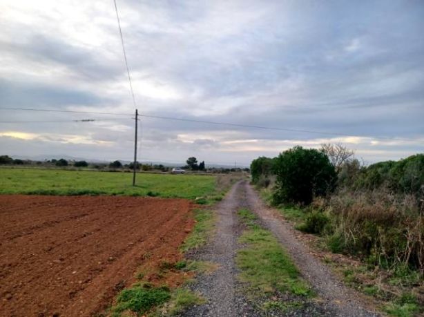 Venta de Rústica en Felanitx