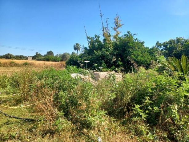 Venta de Rústica en Porreres