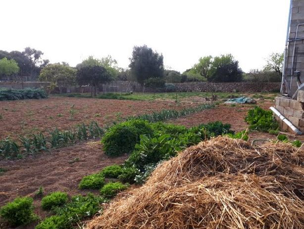 Venta de Almacén  en Porto Colom