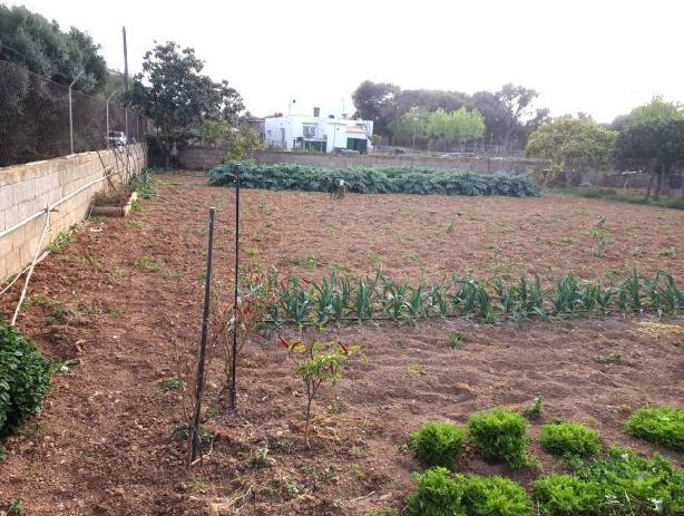 Venta de Almac en Porto Colom