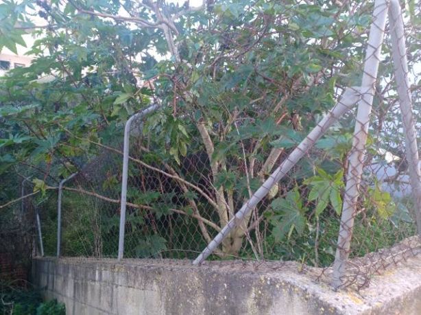 Venta de Solares en Felanitx