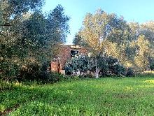 Casas en Felanitx