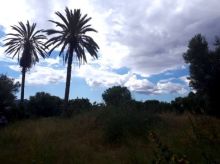 Solares en Porto Colom