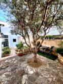 Casas en Felanitx