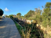 Solares en Cala Murada