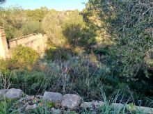 Solares en Cala Murada