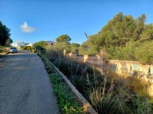 Solares en Cala Murada