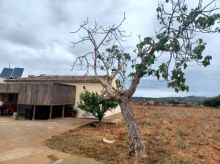 Casas en Felanitx