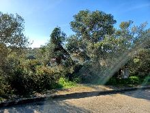 Solares en Porto Colom