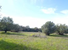 Rústica en Felanitx