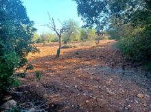 Rústica en Felanitx