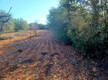 Rústica en Felanitx