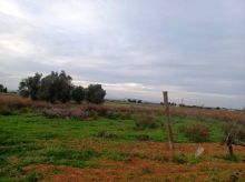 Rústica en Felanitx