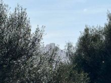 Rústica en Felanitx