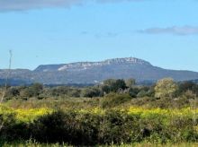 Rústica en Felanitx