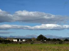 Rústica en Felanitx