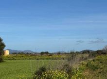 Rústica en Felanitx