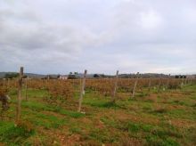 Rústica en Felanitx