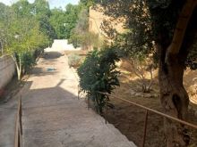 Casas en Felanitx