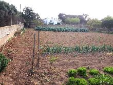 Almac en Porto Colom
